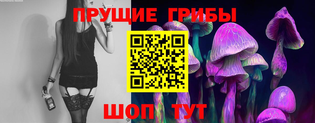 Галлюциногенные грибы ЛСД Кингисепп