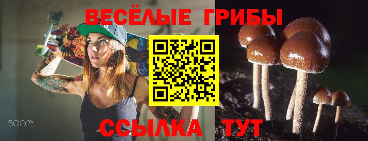 Галлюциногенные грибы MAGIC MUSHROOMS  Вход с VPN  Кингисепп 